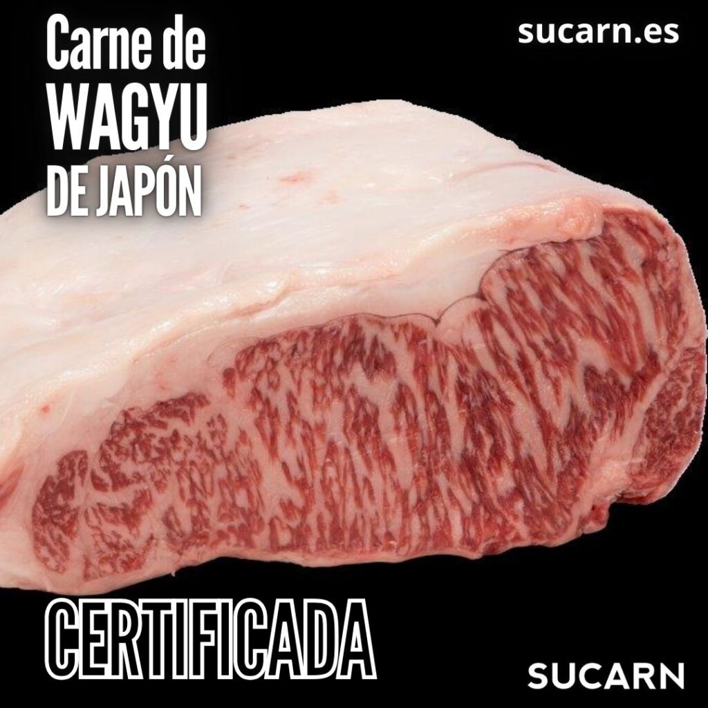 Carne de Wagyu de Japón: La excelencia gastronómica