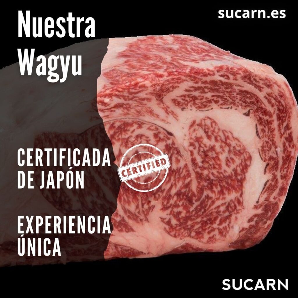 Carne de Wagyu de Japón: La excelencia gastronómica en la cocina de tu restaurante